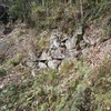 芥川山城に登ってきました