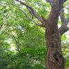 野島公園散策！