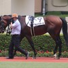 【一口馬主／ベイステート】復帰は来週、ここで決めてくれ！