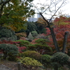 旧古河庭園がすばらしすぎた件。六義園はまだ色づき始め。今年の都内紅葉は遅め？