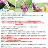 アバンド 24g×30袋 Abound アボットジャパン オレンジ味 正規販売代理店 13,932円 送料無料