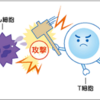 ノーベル賞受賞！で話題の免疫チェックポイント阻害剤って？