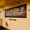 ［NY ミュージアム］午前中からがおすすめ☆「アメリカ自然史博物館」♫