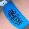 ONEFES 2025へ、今年も2日間行ってみた