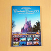 ・Cinderella Castle100