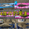 2024年の釣果まとめ