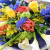 DAILY FLOWERS