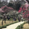 小石川後楽園 in 雨水