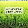 貧血は体のあちこちで起こっている