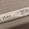 4w5d 記録  妊娠に関わる読書が楽しい