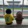 JEF千葉を追って徳島へ。サッカー旅、完結編(その3)(637)