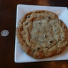 普通のチョコチップクッキー