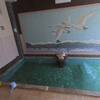 村杉温泉　旅館あらせい　源泉に最も近い旅館で貴重なラジウム泉に日帰り入浴