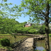 藤の写真を撮りに、町田　薬師池公園