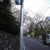 桜坂を聴きながら