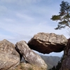 丹波の山城② (黒井城・金山城）