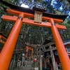 １１月稲荷山参拝その６