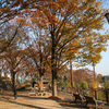 陵南公園と御陵の紅葉１（Dec. 2, 2006）