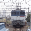 冬来る