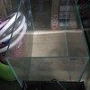 新しいお品物今日並べますね【ペットバルーン・中古品・ADA・買い取り・大阪】