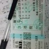 前週回顧　JRA競馬の夏