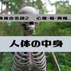 人体の中身　心臓・脳・脊椎、、、　身体２