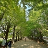 🍂昭和記念公園に行ってきました❗その③ かたらいのイチョウ並木