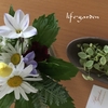 週末