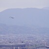 松山城から見る飛行機がすごくカッコイイです。