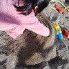 Babyが寝てる時はappear.inで監視/子育ては体力勝負