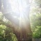 2021年5月　所感＆記事一覧