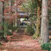 紅葉？のある風景@2020/11/28 。。。