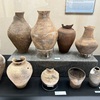 発掘された日本列島2024「弥生時代は壺の時代」再埋葬で使われた土器たち