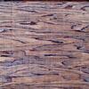 いろいろな木の無料テクスチャ素材「50 Free Wood Textures」
