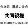 衆院選の争点は共同親権