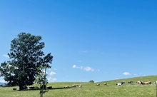 北海道の地域日本語教育の現在地から考えるこれからー第５回北海道・地域日本語教育シンポジウム開催ー