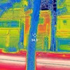 夏雑草を赤外線カメラで見ると涼し気
