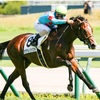 【朝日杯FS全頭診断その2】motoの競馬ブログ