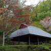 開花はもうすぐ！町田ぼたん園で自然を満喫