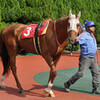 福山城と福山競馬（９月26日）