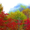 霧雨の中では怪獣のように見える瑞牆山