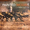 PAINTED WOLVES -A Wild Dog's Life-