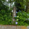 安養寺の紫陽花（常総市）～つくば市とその周辺の風景写真案内（１０９７） 