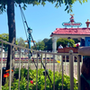 癒しの国の世界Aliceがお届けする　週末の癒しの風景