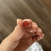 家庭菜園の近況
