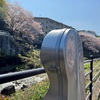 母を訪ねてチェロを弾く