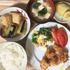 コツコツいこう(=^ェ^=)