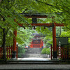 大原野神社・鯉沢の池