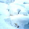 豪雪