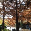父は仕事人間で母は投資家ってもしかして最強コンビ？